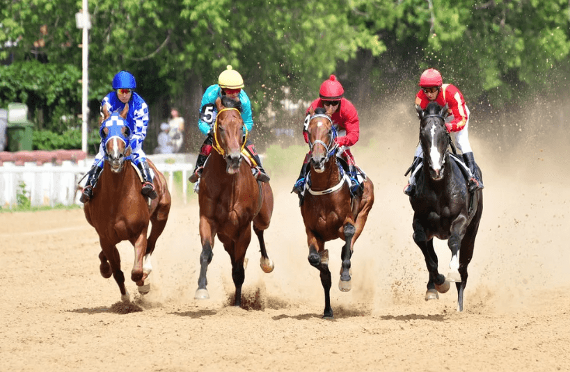 Top 10 Most Famous Horse Races in the World