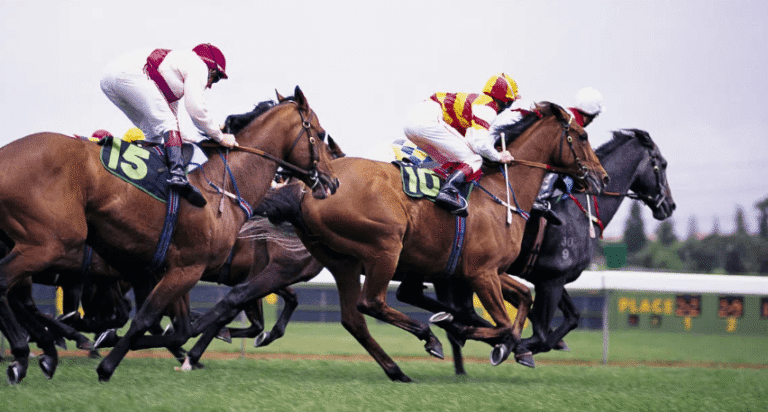 Understanding Different Horse Racing Distances and Categories