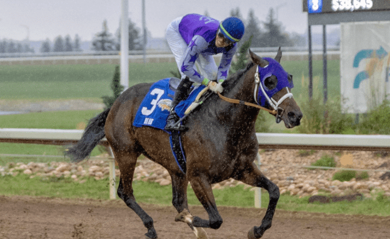 What Happens After a Horse Wins a Big Race?